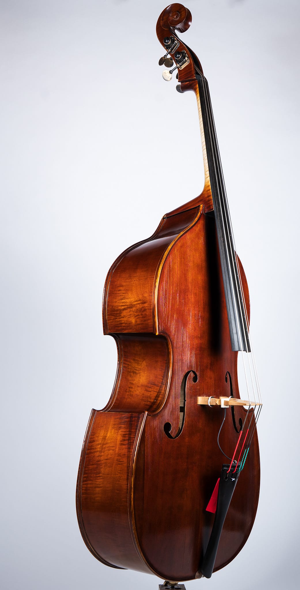 Upton Bass Five String Mittenwald - Side Angle Showing Ambrosia Streaking