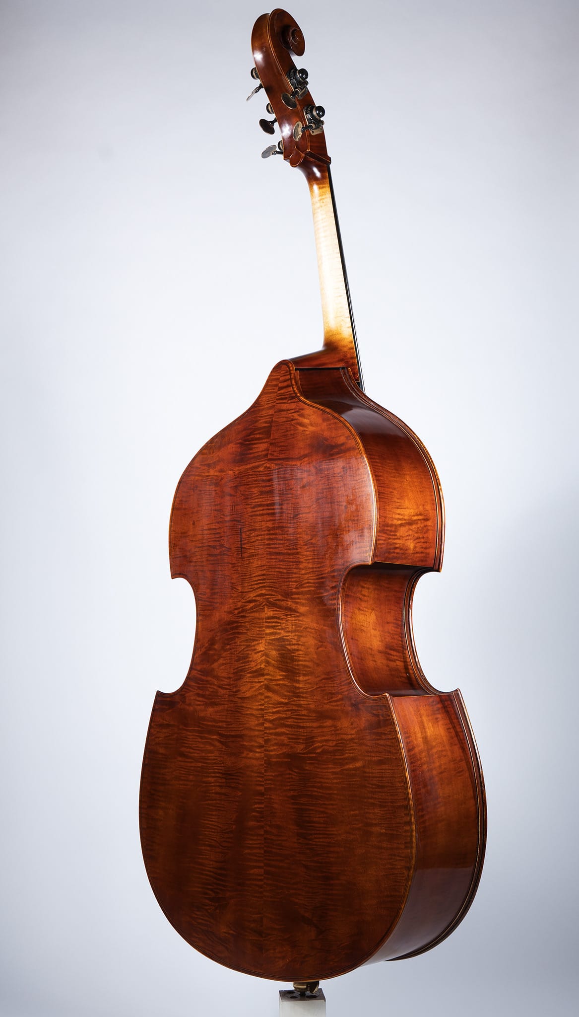 Upton Bass Five String Mittenwald - Back