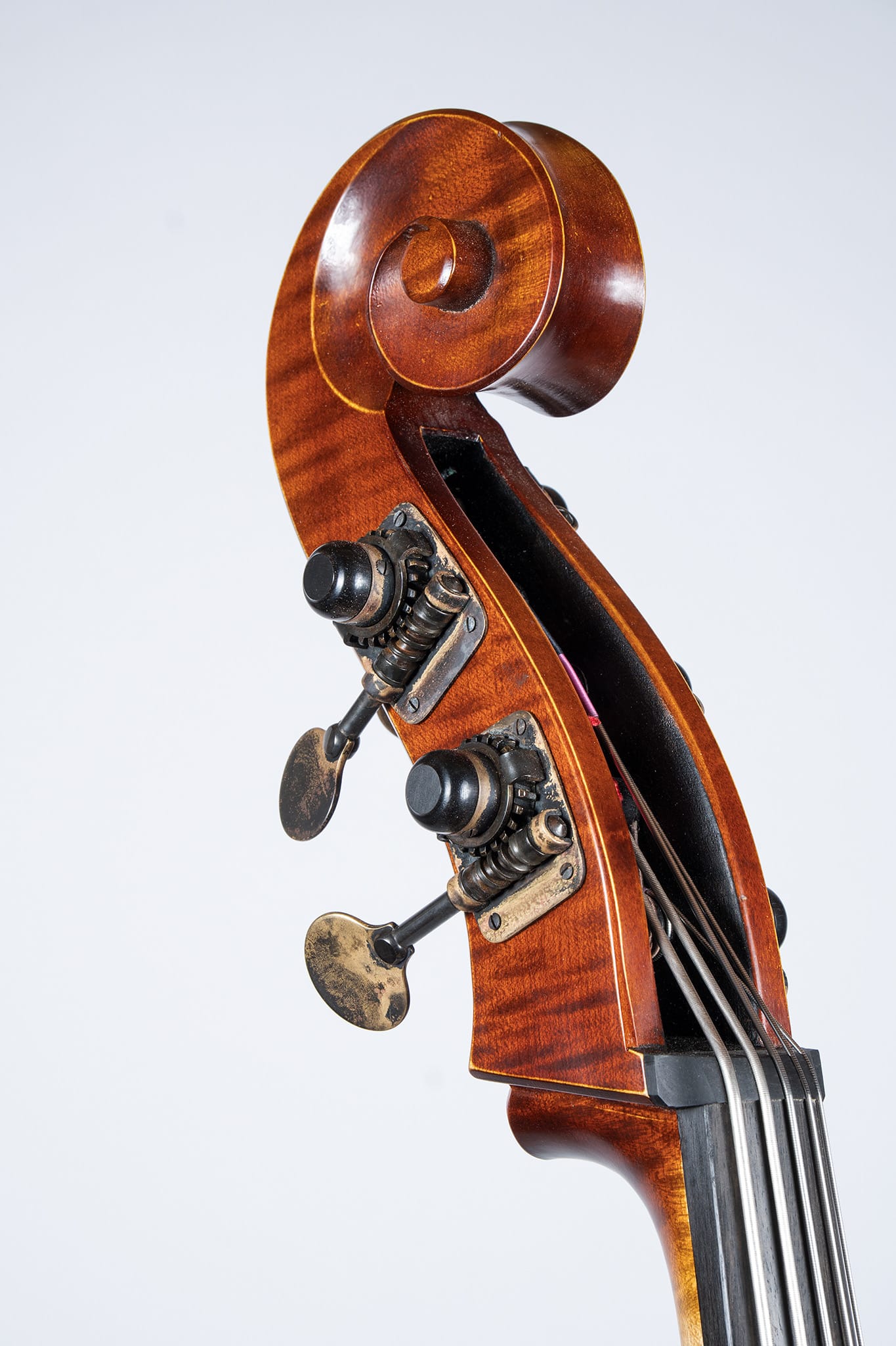 Upton Bass Five String Mittenwald - Pegbox Right