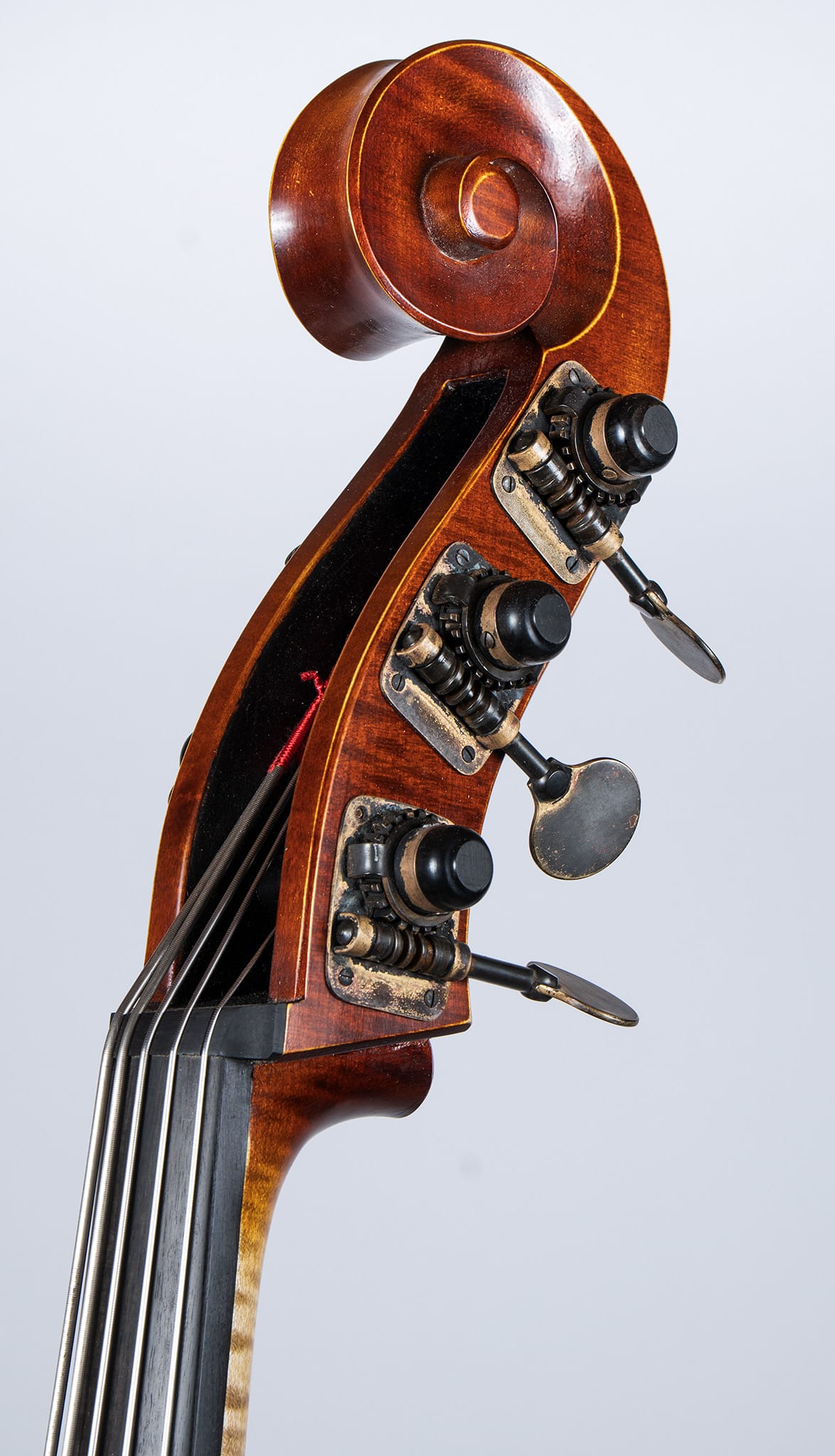 Upton Bass Five String Mittenwald - Pegbox Left